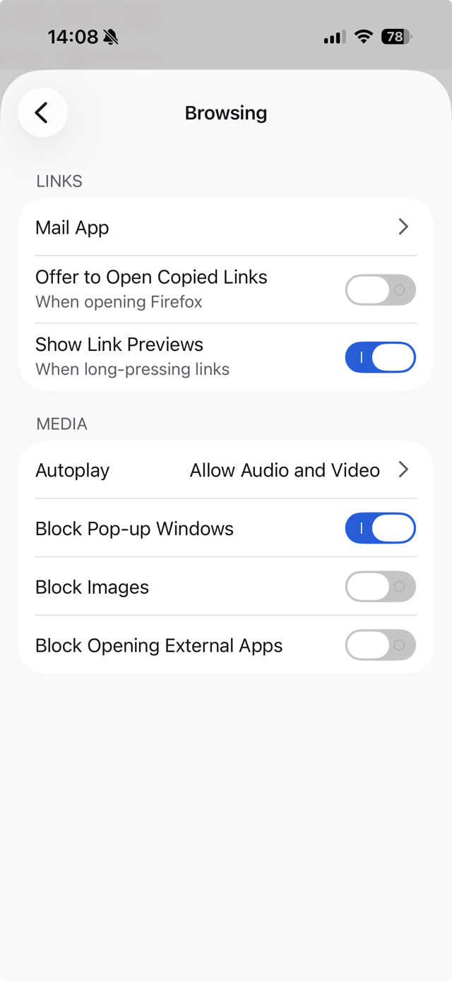 Firefox setting screen 3